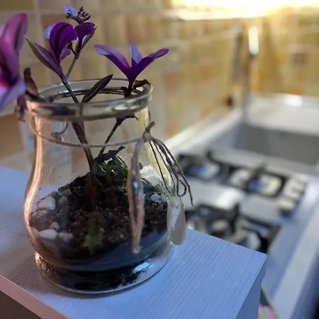 Casetta Il Limone - San Filippo - Gemelli * Rzym