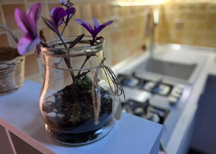 Casetta Il Limone - San Filippo - Gemelli * 罗马